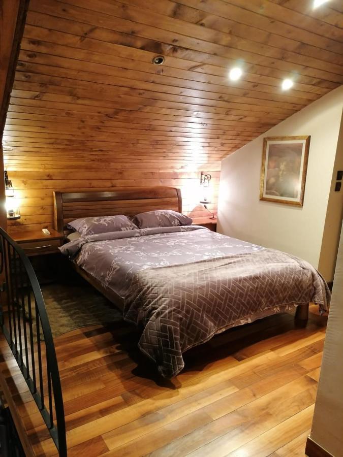 Karina Art Mountain View Apartment Sofia Extérieur photo